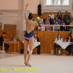 Druhý díl Jihočeské ligy v moderní gymnastice uspořádal GSK Tábor