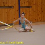 Druhý díl Jihočeské ligy v moderní gymnastice uspořádal GSK Tábor