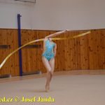 Druhý díl Jihočeské ligy v moderní gymnastice uspořádal GSK Tábor