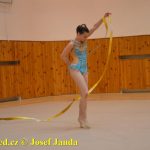 Druhý díl Jihočeské ligy v moderní gymnastice uspořádal GSK Tábor