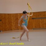 Druhý díl Jihočeské ligy v moderní gymnastice uspořádal GSK Tábor