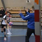 Povinnost splněna, dorostenky strakonické házené smetly poslední Ledeč