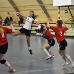 Povinnost splněna, dorostenky strakonické házené smetly poslední Ledeč