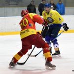 První čtvrtfinále pro Radomyšl! Veselí propadlo ve třetí třetině