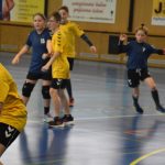 Turnaj mladých házenkářů v Milevsku: Sladkého Bakuse vyhrály Rokycany