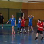 Turnaj mladých házenkářů v Milevsku: Sladkého Bakuse vyhrály Rokycany