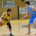 V dohrávce plnili Orli Sršňům roli tréninkového sparingpartnera