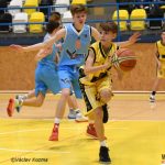 V dohrávce plnili Orli Sršňům roli tréninkového sparingpartnera