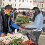 V Táboře si lidé znovu užívali farmářský trh