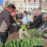 V Táboře si lidé znovu užívali farmářský trh