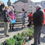 V Táboře si lidé znovu užívali farmářský trh