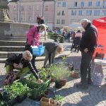 V Táboře si lidé znovu užívali farmářský trh