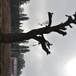 Táborská kasárna mizí před očima