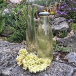 Domácí bezinkový sirup – snadno a rychle