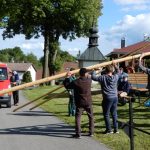 V Kloužovicích u Chýnova obnovili tradici. Již třetím rokem staví májku