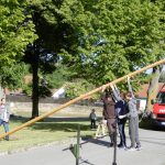 V Kloužovicích u Chýnova obnovili tradici. Již třetím rokem staví májku