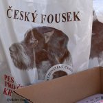 Střelecký okresní přebor Písecka generálkou na republikový šampionát