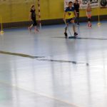 Mladé sokolky v přátelském utkání vyzvaly kolegyně z Milevska