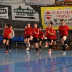 Mladé sokolky v přátelském utkání vyzvaly kolegyně z Milevska