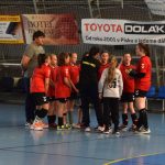 Mladé sokolky v přátelském utkání vyzvaly kolegyně z Milevska