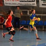 Mladé sokolky v přátelském utkání vyzvaly kolegyně z Milevska