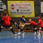 Mladé sokolky v přátelském utkání vyzvaly kolegyně z Milevska