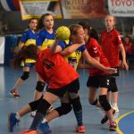 Mladé sokolky v přátelském utkání vyzvaly kolegyně z Milevska