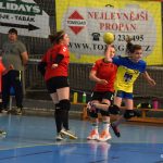 Mladé sokolky v přátelském utkání vyzvaly kolegyně z Milevska