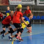 Mladé sokolky v přátelském utkání vyzvaly kolegyně z Milevska
