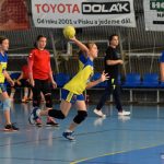 Mladé sokolky v přátelském utkání vyzvaly kolegyně z Milevska