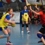 Mladé sokolky v přátelském utkání vyzvaly kolegyně z Milevska