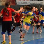 Mladé sokolky v přátelském utkání vyzvaly kolegyně z Milevska