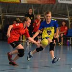 Mladé sokolky v přátelském utkání vyzvaly kolegyně z Milevska