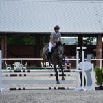 Kolbiště píseckého hřebčince ožilo parkurovými závody. Dominoval Viktor Zahrádka