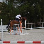 Kolbiště píseckého hřebčince ožilo parkurovými závody. Dominoval Viktor Zahrádka