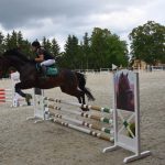 Kolbiště píseckého hřebčince ožilo parkurovými závody. Dominoval Viktor Zahrádka