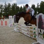 Kolbiště píseckého hřebčince ožilo parkurovými závody. Dominoval Viktor Zahrádka
