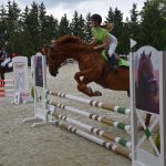 Kolbiště píseckého hřebčince ožilo parkurovými závody. Dominoval Viktor Zahrádka