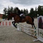 Kolbiště píseckého hřebčince ožilo parkurovými závody. Dominoval Viktor Zahrádka