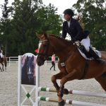 Kolbiště píseckého hřebčince ožilo parkurovými závody. Dominoval Viktor Zahrádka