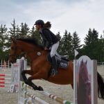 Kolbiště píseckého hřebčince ožilo parkurovými závody. Dominoval Viktor Zahrádka