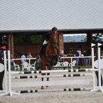 Kolbiště píseckého hřebčince ožilo parkurovými závody. Dominoval Viktor Zahrádka