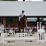 Kolbiště píseckého hřebčince ožilo parkurovými závody. Dominoval Viktor Zahrádka