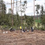 Strakoničtí házenkáři se zapojili do obnovy lesů. Vysázeli přes deset tisíc nových stromků