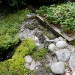 Pocitový chodníček v přírodní zahradě botanické zahrady láká k prozkoumání