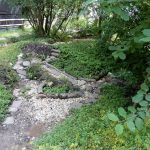 Pocitový chodníček v přírodní zahradě botanické zahrady láká k prozkoumání