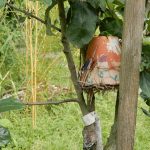 Pocitový chodníček v přírodní zahradě botanické zahrady láká k prozkoumání