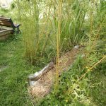 Pocitový chodníček v přírodní zahradě botanické zahrady láká k prozkoumání