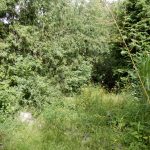 Pocitový chodníček v přírodní zahradě botanické zahrady láká k prozkoumání
