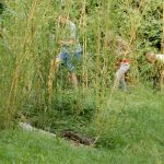 Pocitový chodníček v přírodní zahradě botanické zahrady láká k prozkoumání